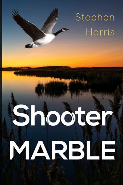 Shooter Marble
