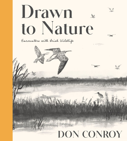 Drawn to Nature: Encounters with Irish Wildlife