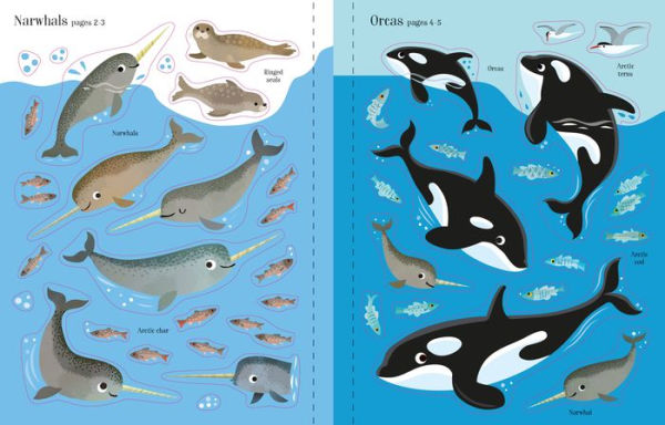 First Sticker Book Narwhals