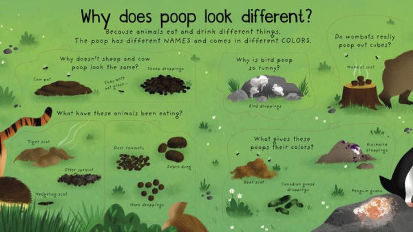 First Questions and Answers: Where Does Poop Go?
