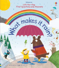 Ebook gratis downloaden First Questions and Answers: What makes it rain? PDF