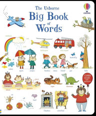 Title: Big Book of Words, Author: Mairi Mackinnon