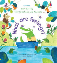Title: First Questions and Answers: What are Feelings?, Author: Katie Daynes