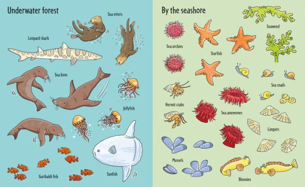 First Sticker Book Under the Sea