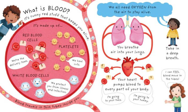 Very First Questions and Answers What's Inside Me?