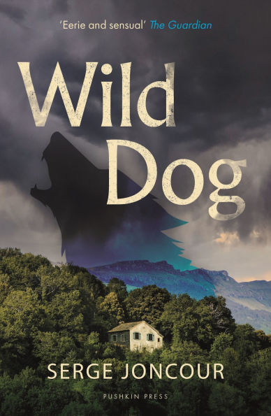 Wild Dog: Sinister and savage psychological thriller