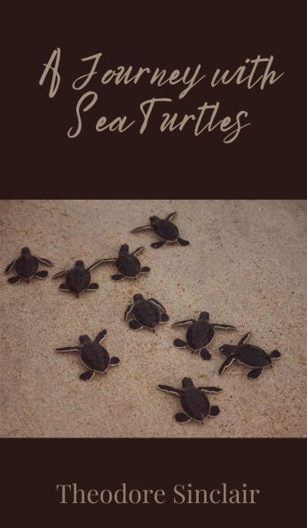 A Journey with Sea Turtles