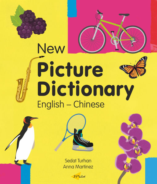 New Picture Dictionary (English-Chinese)