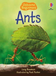 Title: Ants, Author: Lucy Bowman