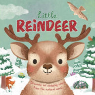 Title: Nature Stories: Little Reindeer, Author: IglooBooks