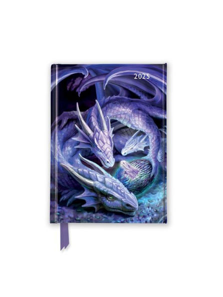 Anne Stokes: Welcome Hatchling 2025 Luxury Pocket Diary Planner - Week to View
