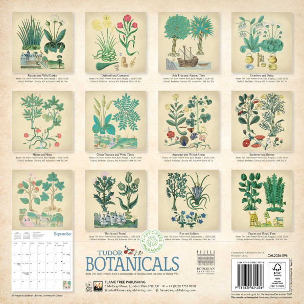 2026 Bodleian Libraries: Tudor Botanicals