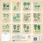 Alternative view 5 of 2026 Bodleian Libraries: Tudor Botanicals