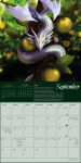 Alternative view 4 of Anne Stokes: Dragon Legends of the World Mini Wall calendar 2026 (Art Calendar)