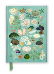Title: Katherine Quinn: Beachcombing (Foiled Journal), Author: Flame Tree Studio