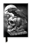 Alternative view 1 of Alchemy: Poe's Raven (Foiled Journal)