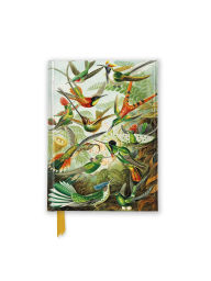 Title: Ernst Haeckel: Hummingbirds (Foiled Pocket Journal), Author: Flame Tree Studio