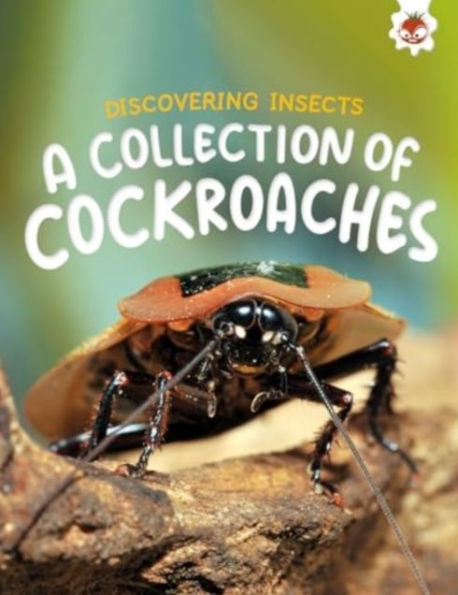 Discovering Insects: A Collection of Cockroaches