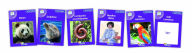 Title: Core Purple Non-Fiction Readers (6 Books): In Print Letters (American English Edition), Author: Sara Wernham