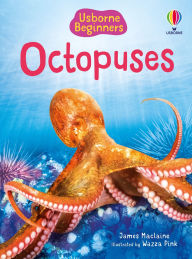 Title: Beginners Octopuses, Author: James Maclaine
