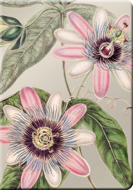 Title: Soft Petals Notable Notebook, Author: The Gifted Stationery Co Ltd