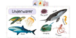 Alternative view 3 of My First 100 Animal Words: Photographic First Picture Dictionary with Tabbed Pages