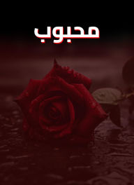 Title: Mehboob, Author: Syed Mudassir Ali Zaidi (Musawwir)