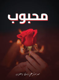 Title: Mehboob, Author: Syed Mudassir Ali Zaidi (Musawwir)