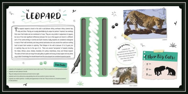 Scratch Art Majestic Animals: Create Wonderfully Wild Artwork by IglooBooks,  Claire Sipi, Jake McDonald, Paperback