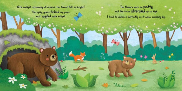 Nature Stories: Little Bear-Discover an Amazing Story from the Natural World: Padded Board Book