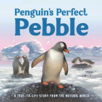 Alternative view 1 of Penguin's Perfect Pebble: A True-to-Life Story from the Natural World, Ages 5 & Up