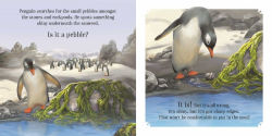 Alternative view 2 of Penguin's Perfect Pebble: A True-to-Life Story from the Natural World, Ages 5 & Up