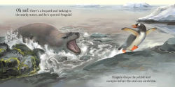 Alternative view 3 of Penguin's Perfect Pebble: A True-to-Life Story from the Natural World, Ages 5 & Up