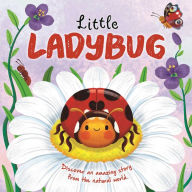 Free online ebook to download Nature Stories: Little Ladybug Discover an Amazing Story from the Natural World: Padded Board Book  by IglooBooks, Rose Harkness, Gisela Bohïrquez 9781837717361 English version