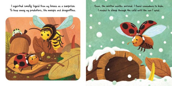 Nature Stories: Little Ladybug Discover an Amazing Story from the Natural World: Padded Board Book