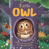 Download epub ebooks for mobile Nature Stories: Little Owl-Discover an Amazing Story from the Natural World: Padded Board Book in English by IglooBooks, Rose Harkness, Gisela Bohïrquez 9781837717378 PDB