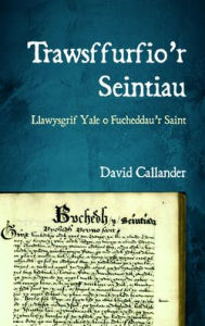 Title: Trawsffurfio'r Seintiau: Llawysgrif Yale o Fucheddau'r Saint, Author: David Callander