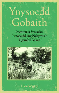 Title: Ynysoedd Gobaith: Mentrau a Syniadau Iwtopaidd yng Nghymru'r Ugeinfed Ganrif, Author: Llion Wigley