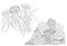 Alternative view 3 of Leila Duly's Beautiful Planet: An Intricate Coloring Book