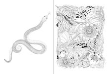 Alternative view 6 of Leila Duly's Beautiful Planet: An Intricate Coloring Book