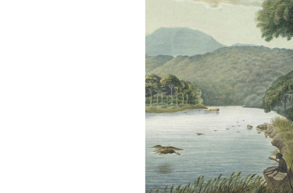 Cut Up This Book: Creative Papers: 100 Patterns and Backgrounds for Junk Journals, Scrapbooks and Collages