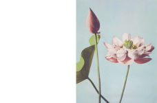 Alternative view 6 of Cut Up This Book: Creative Papers: 100 Patterns and Backgrounds for Junk Journals, Scrapbooks and Collages