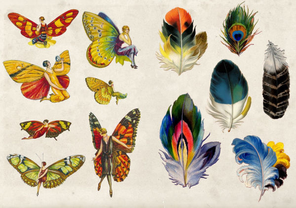 The Curious Collections Sticker Book