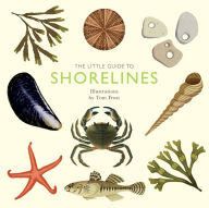 Title: The Little Guide to Shorelines, Author: Alison  Davies