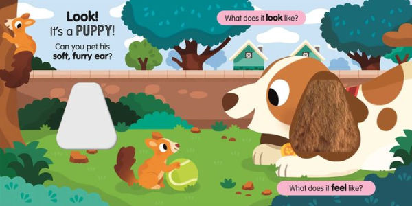 Sensory Pets: An Interactive Touch & Feel Book for Babies