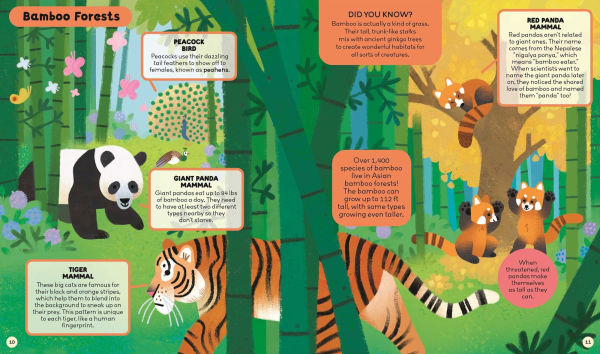 Curiosity Club: Animals: Over 250 Amazing Facts About the Animal Kingdom