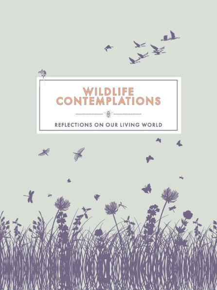 Wildlife Contemplations: Reflections on Our Living World