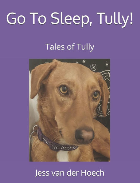 Go To Sleep, Tully!