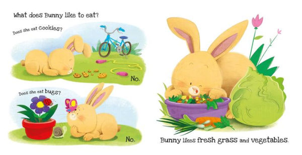 What Does Bunny Like?: Touch & Feel Board Book