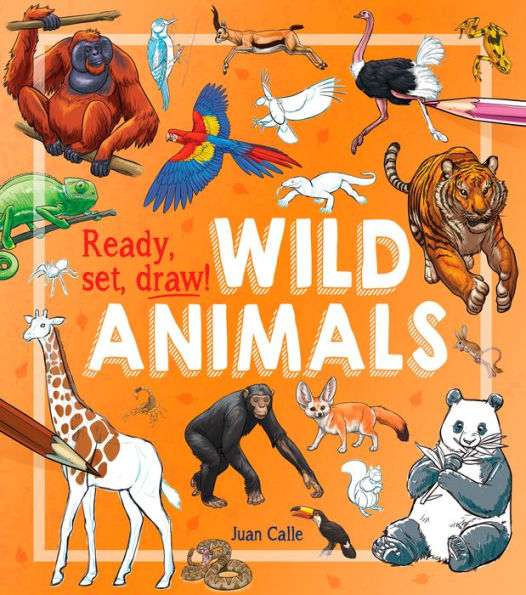 Ready, Set, Draw!: Wild Animals